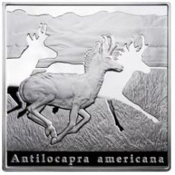 4047 # NIUE 1 Dollar 2010 PRATA PROOF Ø40mm QUADRADA Série Prodígios da Natureza I: Antilocapra